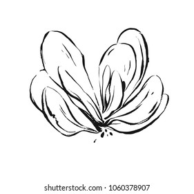 Hand drawn vector abstract artistic ink textured graphic sketch drawing illustration of succulent cactus plant flower isolated on white background.