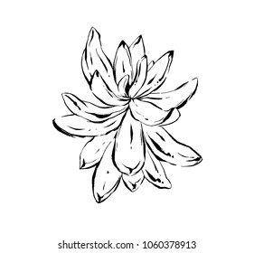 Hand drawn vector abstract artistic ink textured graphic sketch drawing illustration of succulent cactus plant flower isolated on white background.