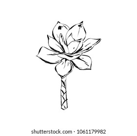 Hand drawn vector abstract artistic ink textured graphic sketch drawing illustration of succulent cactus plant flower isolated on white background.