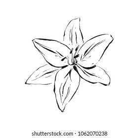 Hand drawn vector abstract artistic ink textured graphic sketch drawing illustration of lilly plant flower isolated on white background.
