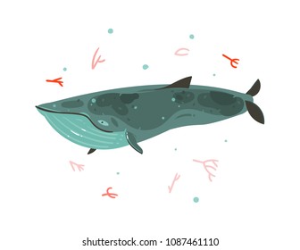 Hand drawn vector abstract cartoon graphic summer time underwater illustrations with coral reefs and beauty big whale character isolated on white background.