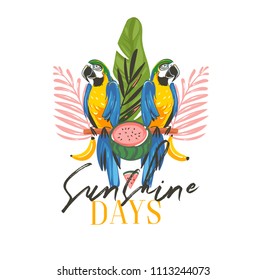 Hand drawn vector abstract cartoon summer time graphic illustrations art with exotic tropical sign with rainforest Parrot Macaw birds,watermelon and Sunshine days text isolated on white background