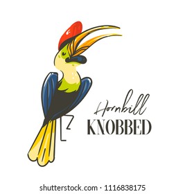 Hand drawn vector abstract cartoon summer time graphic decoration illustrations art with exotic tropical rainforest Hornbill Knobbed bird isolated on white background