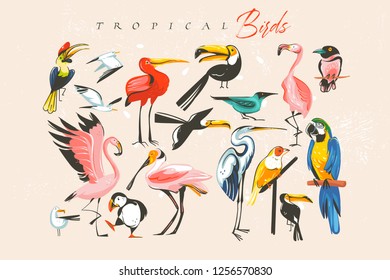 Hand drawn vector abstract cartoon summer time fun big bundle group collection illustrations set with tropical exotic zoo or wildlife birds isolated on white background