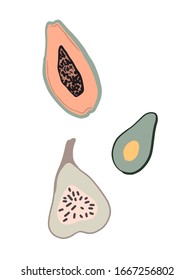 Hand drawn vector abstract cartoon summer fruits.  Fun illustration  with papaya, avocado, figs.