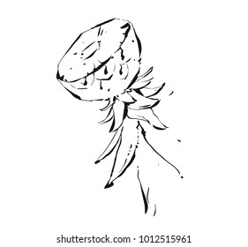 Hand drawn vector abstract exotic tropical ink graphic drawing fruit pineapple illustration icon isolated on white background.Healthy lifestyle concept.