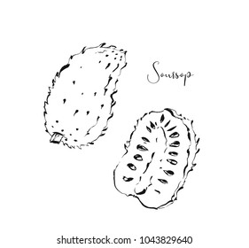 Hand drawn vector abstract exotic tropical soursop fruit ink textured illustrations sketch drawing collection set isolated on white background.Healthy lifestyle concept.
