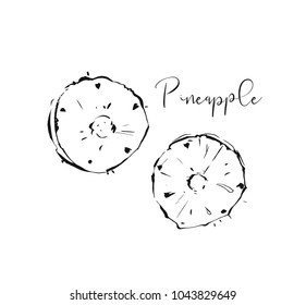 Hand drawn vector abstract exotic tropical pineapple fruit ink textured illustrations sketch drawing collection set isolated on white background.Healthy lifestyle concept.