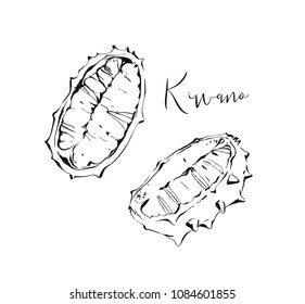 Hand drawn vector abstract exotic tropical kiwano fruit ink textured illustrations sketch drawing collection set isolated on white background.Healthy lifestyle concept.