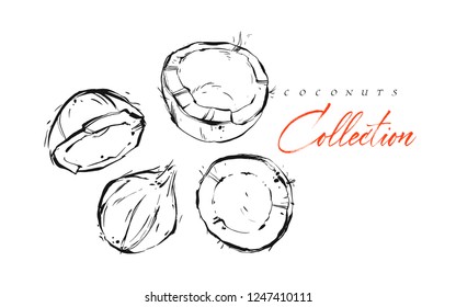 Hand drawn vector abstract exotic graphic ink textured tropical fruits coconuts illustrations collection set sketch drawing isolated on white background.Healthy lifestyle concept