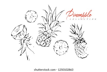 Hand drawn vector abstract exotic graphic ink textured tropical fruits pineapple illustrations collection set sketch drawing isolated on white background.Healthy lifestyle concept