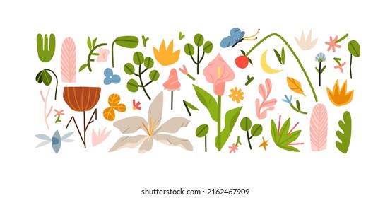 Hand drawn vector abstract graphic clipart illustrations collection set of composition with abstract boho nature shapes of blossom flowers and tropical leaves.Modern nature design.Botanical garden.