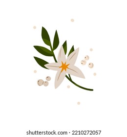 Gráfica abstracta de vector dibujada a mano Feliz Navidad y Feliz año nuevo ilustraciones de clipart tarjetas de felicitación con flores y hojas. Feliz Navidad lindo diseño de tarjeta floral.Arte de vacaciones de invierno.
