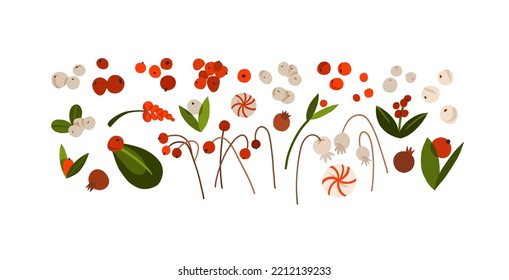 Hand drawn vector abstract graphic Merry Christmas and Happy new year clipart illustrations of cute xmas flowers collection set isolated.Merry Christmas floral design background.Winter holiday art.