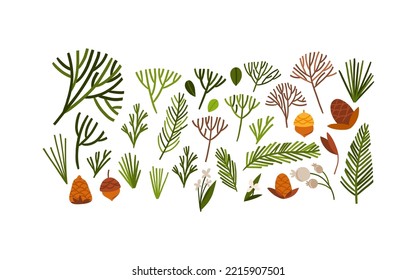 Hand drawn vector abstract graphic Merry Christmas and Happy new year clipart illustrations of cute xmas flowers collection set isolated.Merry Christmas floral design background.Winter holiday art.