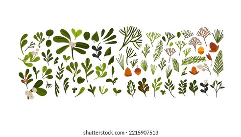Hand drawn vector abstract graphic Merry Christmas and Happy new year clipart illustrations of cute xmas flowers collection set isolated.Merry Christmas floral design background.Winter holiday art.