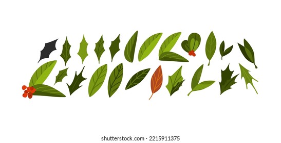 Hand drawn vector abstract graphic Merry Christmas and Happy new year clipart illustrations of cute xmas flowers collection set isolated.Merry Christmas floral design background.Winter holiday art.