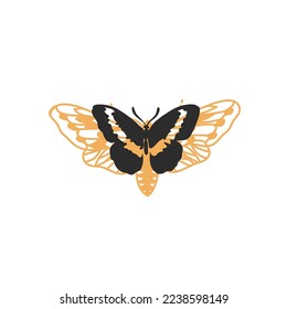 Hand drawn vector abstract graphic illustrations celestial design concept with logo magic line silhouette art of mystic flying butterfly,moth isolated. Magic drawing butterfly icon design concept.