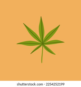 Hand drawn vector abstract graphic clipart illustration of Medical Marijuana, smoking accessories.Hemp leaf for smoking weed.Cannabis and weed legalization concept design.Trendy vector illustration.