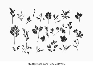 Hand drawn vector abstract graphic illustrations silhouette collection set with bohemian magic black art of natural flowers and plants,leaves,wreath,herb,botanical floral garden plants silhouette.