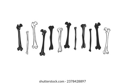Hand drawn vector abstract graphic line art collection set of Human skeleton, bones and joints, isolated on white background. Vector hand drawn sketch illustration. Doodle Halloween anatomy icons set.
