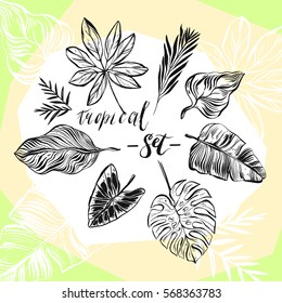 Hand drawn vector abstract graphic summer collection set with tropical exotic palm leaves and brunches 
