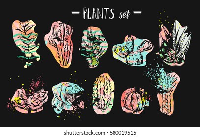 Hand drawn vector abstract graphic creative succulent,cactus and plants collection set colorful artistic brush painted isolated on black background.Unique unusual hipster trendy design.Modern art