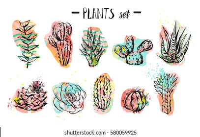 Hand drawn vector abstract graphic creative succulent,cactus and plants collection set colorful artistic brush painted isolated on white background.Unique unusual hipster trendy design.Modern art