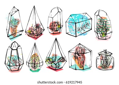 Hand drawn vector abstract graphic creative succulent,cactus and plants in terrariums collection set colorful artistic brush painted isolated on white background.Unique unusual hipster trendy design.