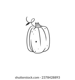 Hand drawn vector abstract graphic,black, line art autumn vegetable, harvest thanksgiving and Halloween pumpkin outline isolated. Halloween Character outline autumn design concept. Autumn symbol icon.