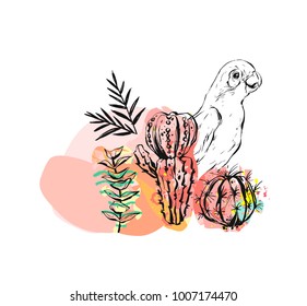 Hand drawn vector abstract ink drawing sketch illustrations collage with tribal tropical wildlife parrots and cactus plants isolated on white background.