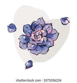 Hand drawn vector abstract ink graphic brush textured sketch drawing blossom succulent flowers in purple colors isolated on white background.Wedding,Birthday and save the date design elements.