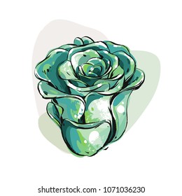 Hand drawn vector abstract ink graphic brush textured sketch drawing blossom succulent flowers in green mint colors isolated on white background.Wedding,Birthday and save the date design elements.