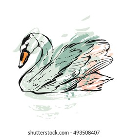 Hand drawn vector abstract ink painted textured graphic swan illustration in pastel colors isolated on white background.Vintage bird drawing illustration.
