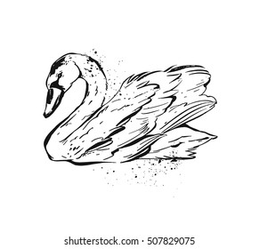 Hand drawn vector abstract ink painted textured graphic swan illustration isolated on white background.Vintage bird drawing. Rough brush sketch of wild bird.