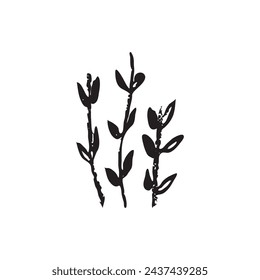 Hand drawn vector abstract plants. Branch with leafs. Black silhouette illustration. Real pastel texture. 