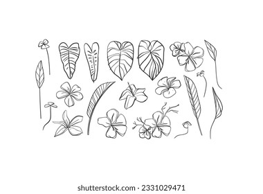 Hand drawn vector abstract simple minimalistic line art graphic drawing tropical palm leaves and flowers icon sign collection set isolated.Summer plant design concept.Tropical summer nature logo set.