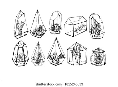 Hand drawn vector abstract stock flat graphic illustrations collection set bundle with succulent and cacti sketch drawing flowers in glass terrariums isolated on white background