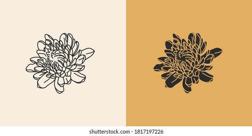 Hand drawn vector abstract stock flat graphic illustration with logo elements set,chrysanthemum autumn line flowers and silhouette,magic art in simple style for branding,isolated on color background