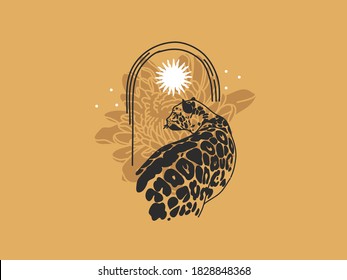 Hand drawn vector abstract stock flat graphic illustration and logo elements leopard   sun butterfly  magic chrysanthemum in arch   art in simple style for branding  isolated color background