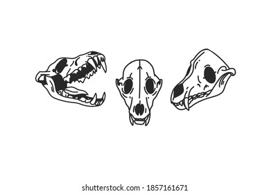 Hand drawn vector abstract stock flat graphic illustration with logo elements ,dog skull set collection sacred line art icon in simple style for branding ,isolated on white background