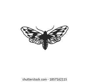 Hand drawn vector abstract stock flat graphic illustration with logo elements ,moth sacred line art icon in simple style for branding ,isolated on white background