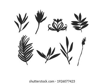 Hand drawn vector abstract stock flat graphic illustration collection set with logo elements of branch leaves silhouettes art in simple style for branding,isolated on white background