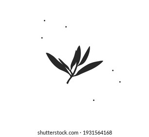 Hand drawn vector abstract stock flat graphic illustration with logo element of branch leaves silhouette art in simple style for branding,isolated on white background