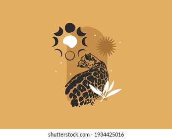 Hand drawn vector abstract stock flat graphic illustration with logo elements leopard and moon phase,sun,magic art in simple style for branding ,isolated on color background