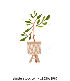 Hand drawn vector abstract stock graphic bohemian clipart illustration with beauty,urban home scandinavian interior design element of green plant in pot isolated on white background