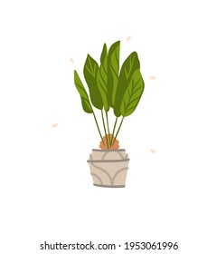 Hand drawn vector abstract stock graphic bohemian clipart illustration with beauty,urban home scandinavian interior design element of green plant in pot isolated on white background