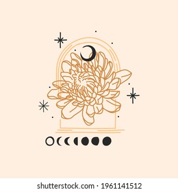 Hand drawn vector abstract stock flat graphic illustration with logo elements, magic line art of peony flower,crescent,moon phase and stars in simple style for branding ,isolated on color background