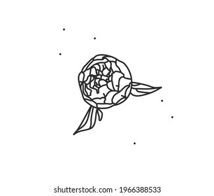 Hand drawn vector abstract stock flat graphic illustration with logo element of line flower art of peony contour tattoo in simple style for branding,isolated on white background