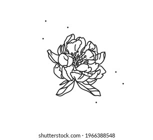 Hand drawn vector abstract stock flat graphic illustration with logo element of line flower art of peony contour tattoo in simple style for branding,isolated on white background